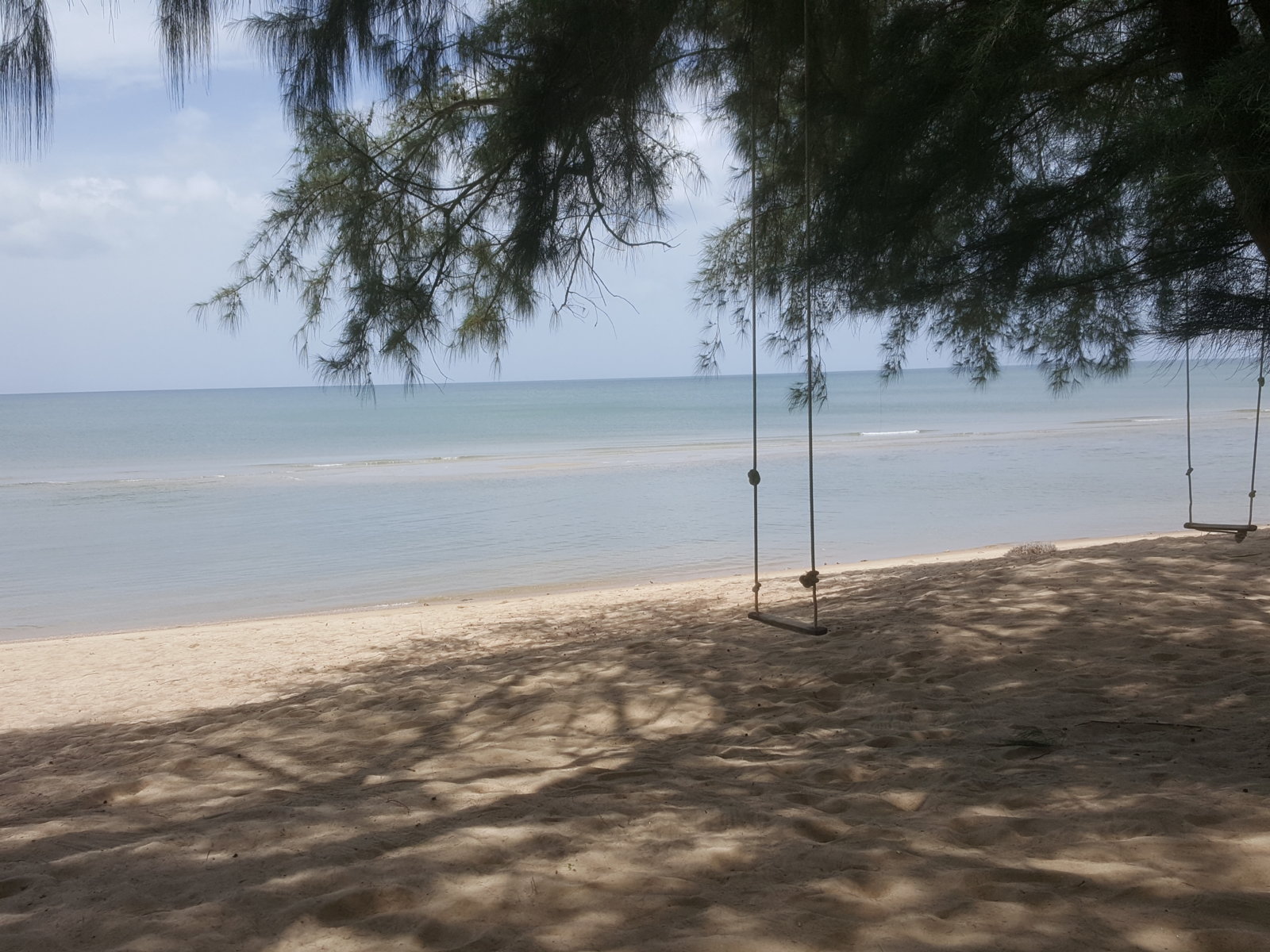 20190731_121333.jpg