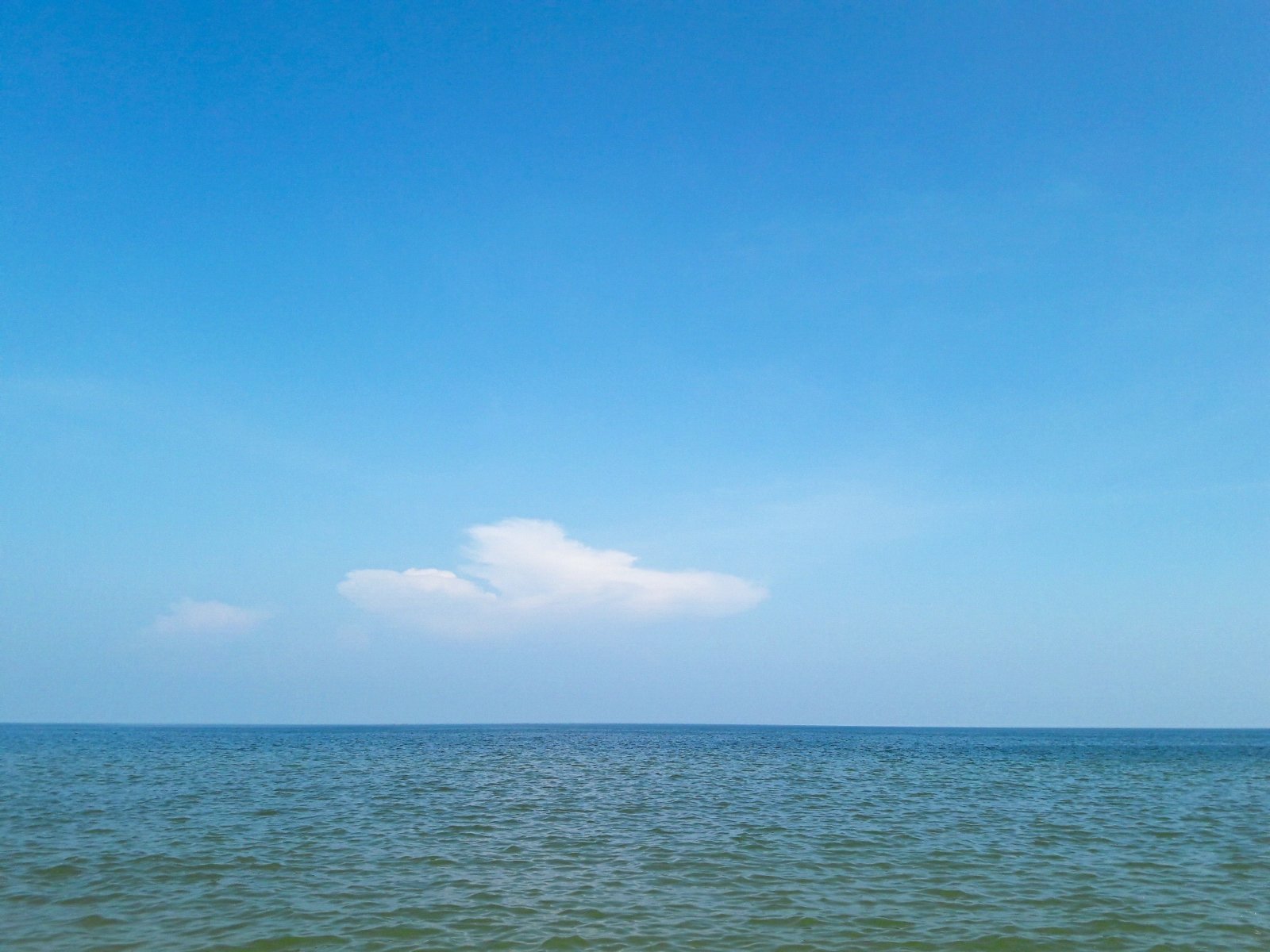 31A5CF34-6724-4249-9A13-8BC0556319E8.jpeg