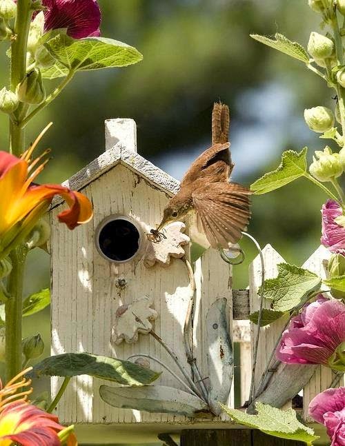 casa+de+bird.jpg