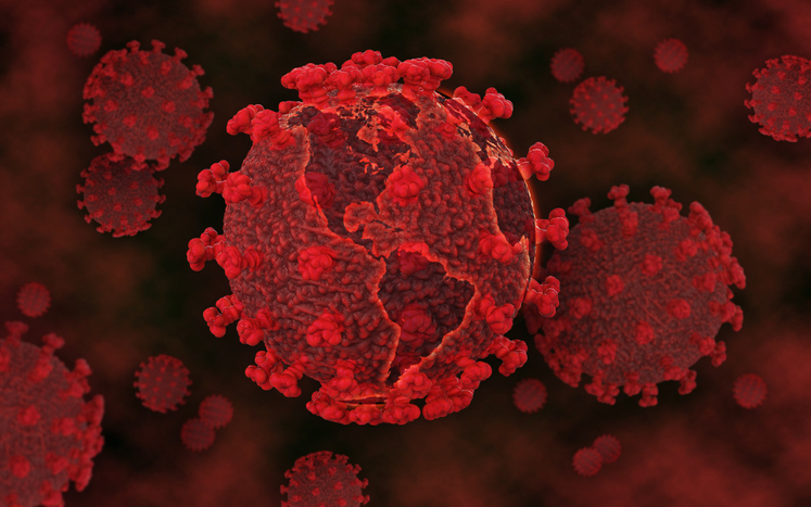 coronavirus.jpg