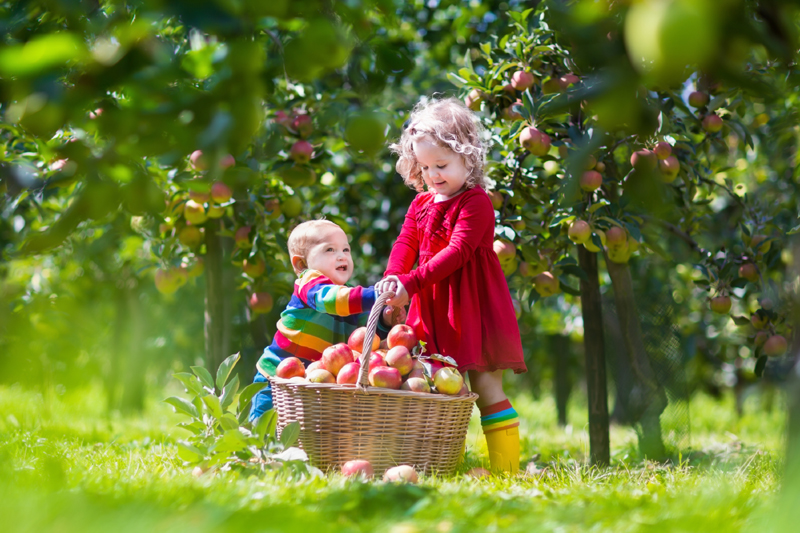 kids-playing-in-garden.jpg