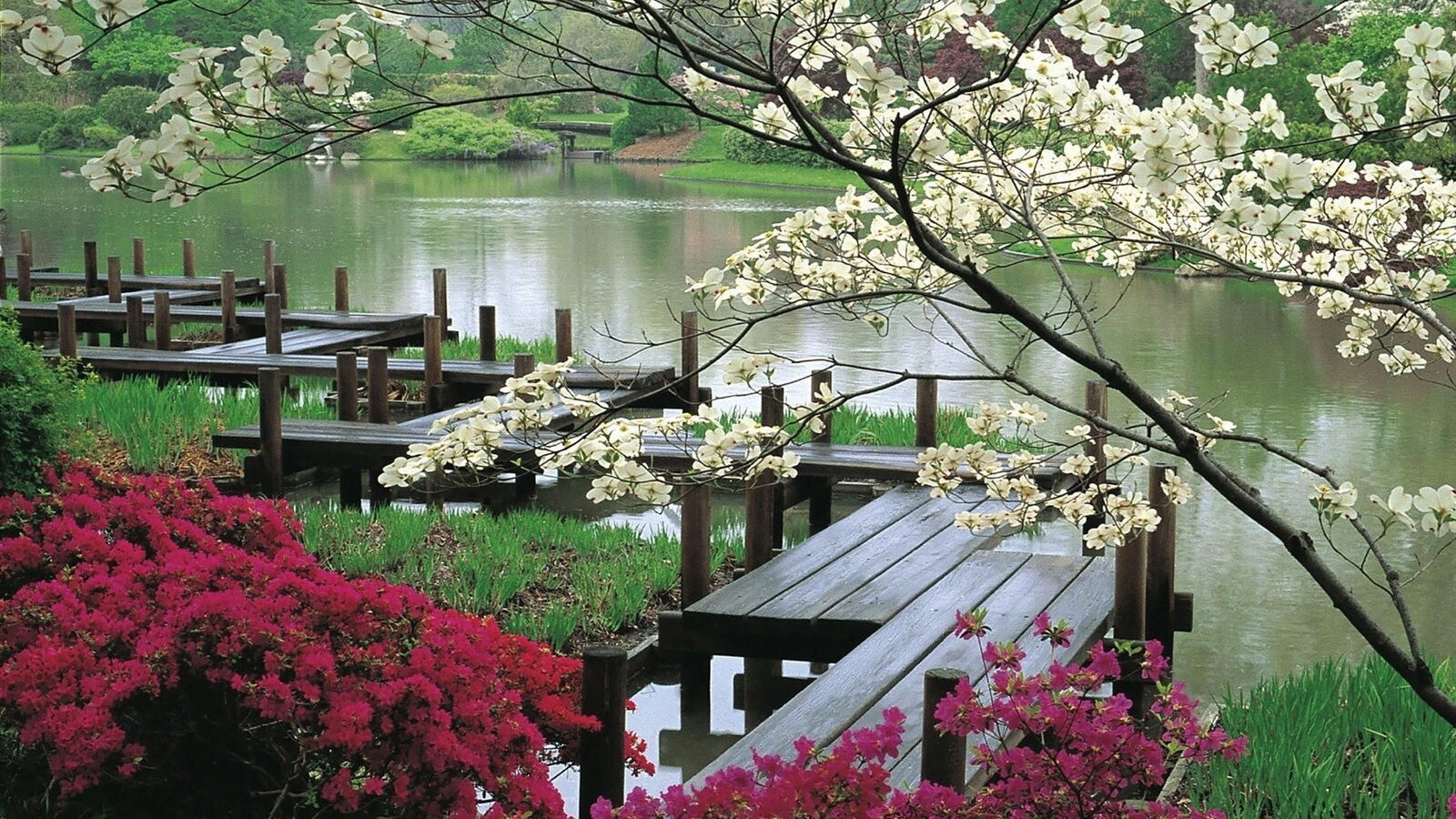ws_Japanese_Garden_&_Lake_1920x1080.jpg